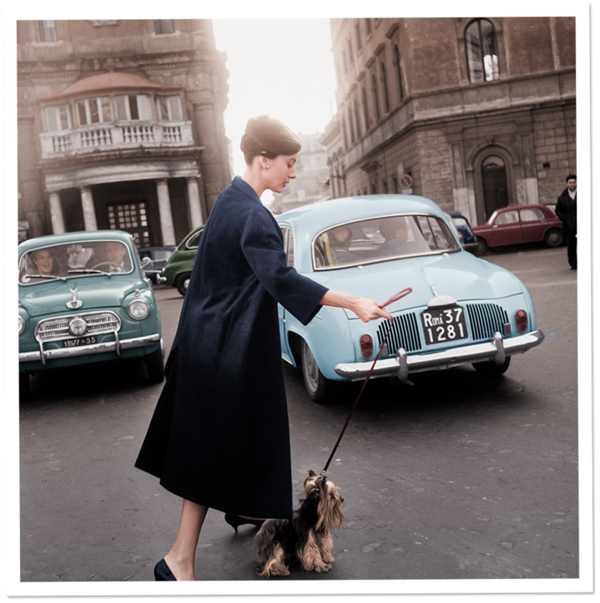 Audrey 