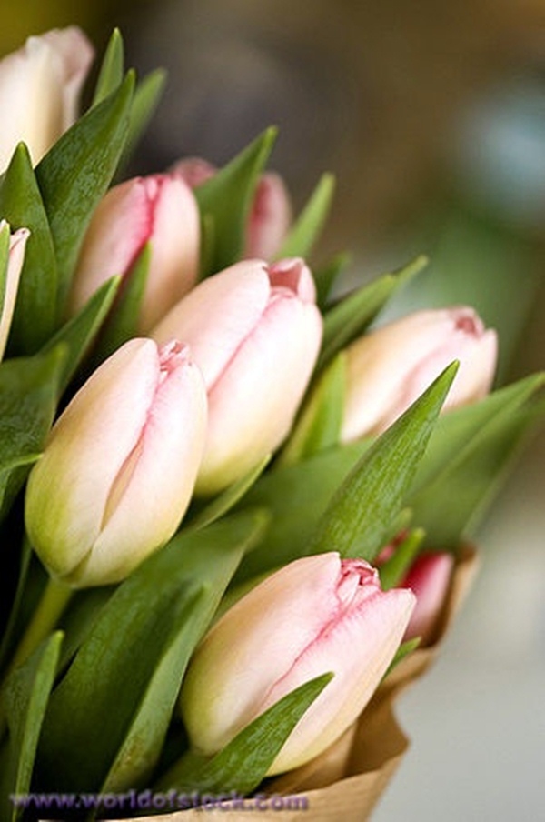 As cores de abril