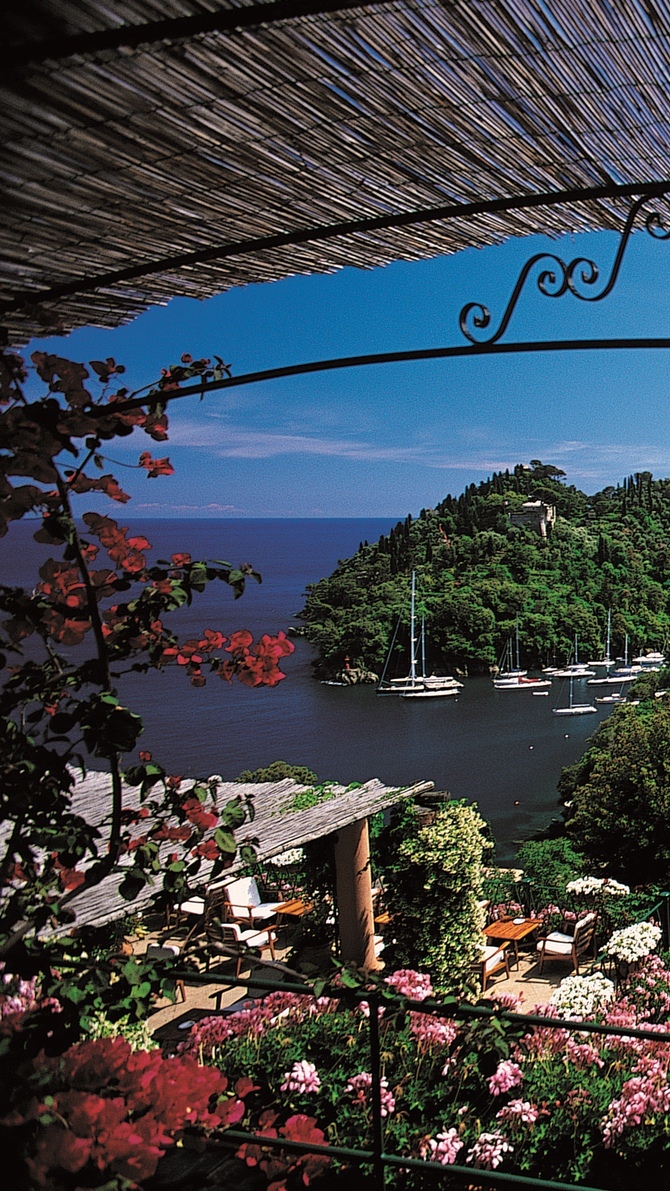 Portofino - Tempo da Delicadeza