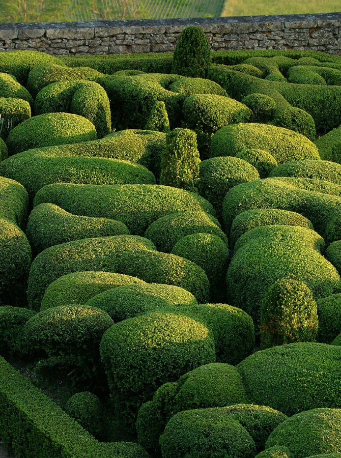 Les Jardins de Marqueyssac | Tempo da Delicadeza