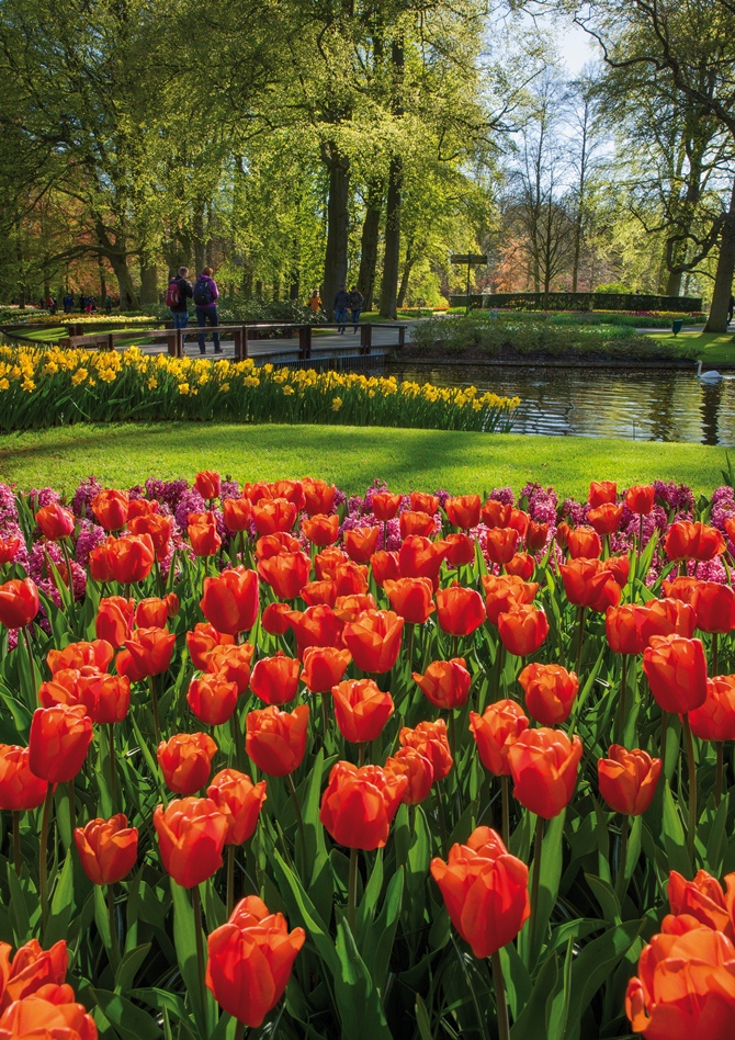  Keukenhof, the most beautiful spring garden in the world