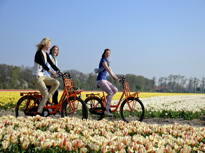  Keukenhof, the most beautiful spring garden in the world