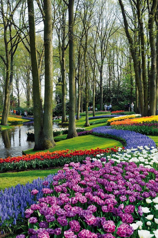  Keukenhof, the most beautiful spring garden in the world