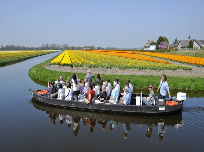  Keukenhof, the most beautiful spring garden in the world