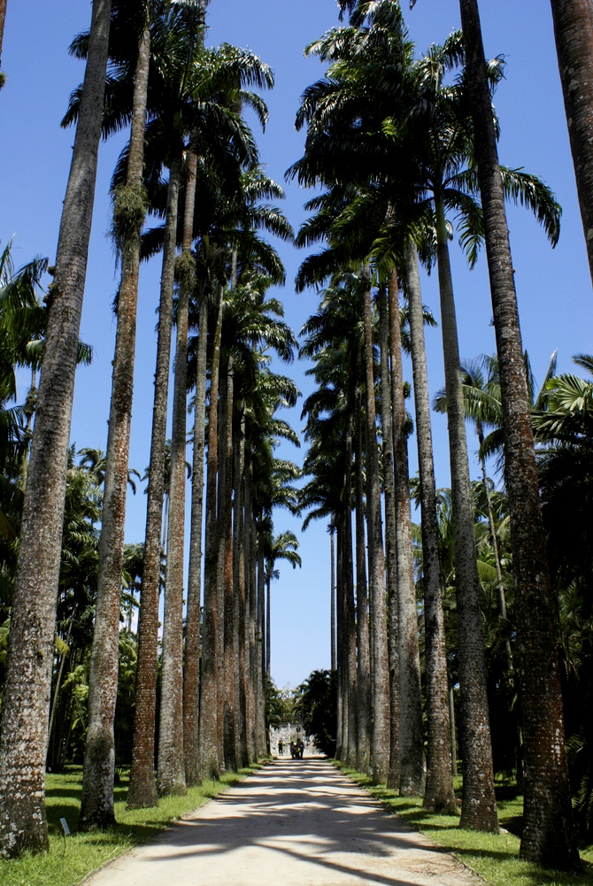 Rio de Janeiro | Brazil