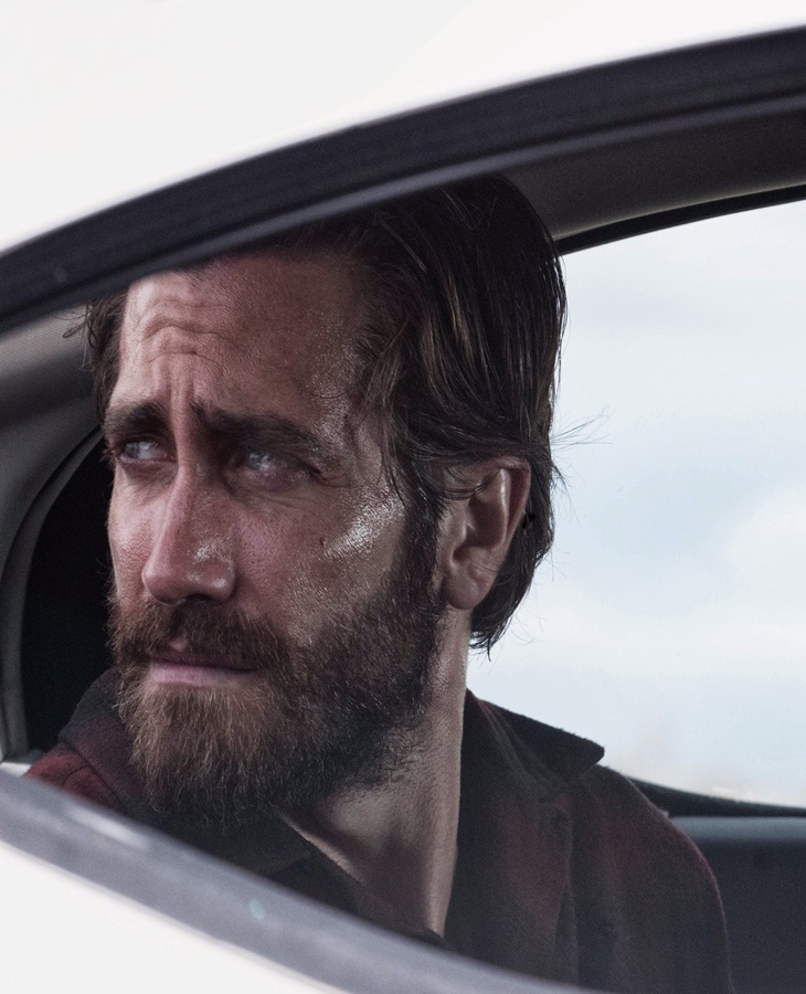 Nocturnal Animals