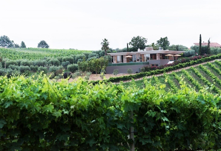 abruzzo-mid-century-villa-italia-italy-architekt-view-vineyard-winery-1600x0-c-default